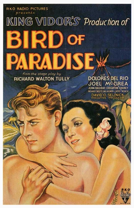 Bird of Paradise - Plakate