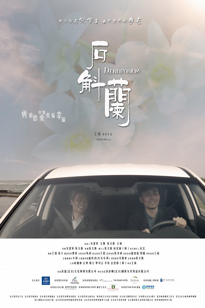 Shi hu lan - Plakáty