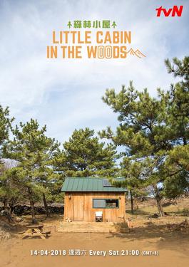 Little Cabin In The Woods - Posters