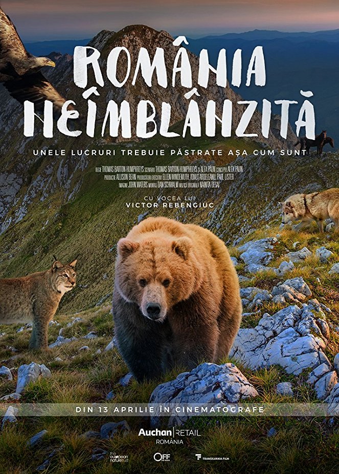România neîmblânzitã - Plakaty