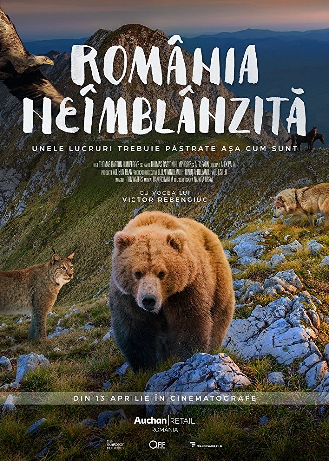 România neîmblânzitã - Affiches