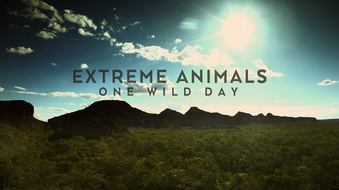 One Wild Day - Plakaty