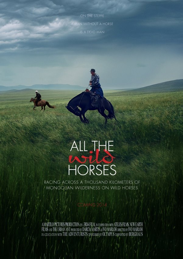All the Wild Horses - Affiches