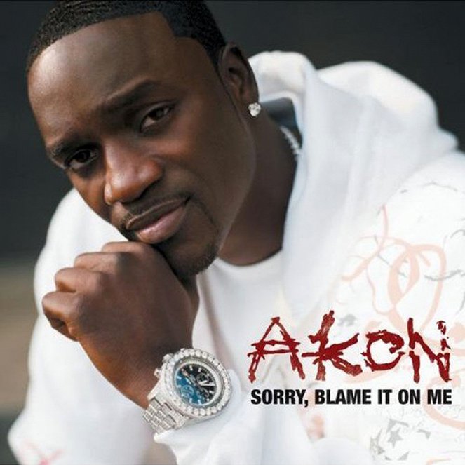Akon - Sorry, Blame It On Me - Plakaty