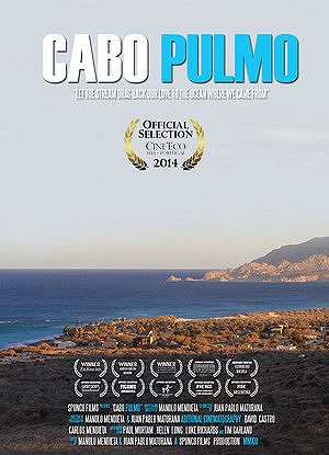 Cabo Pulmo - Plakaty