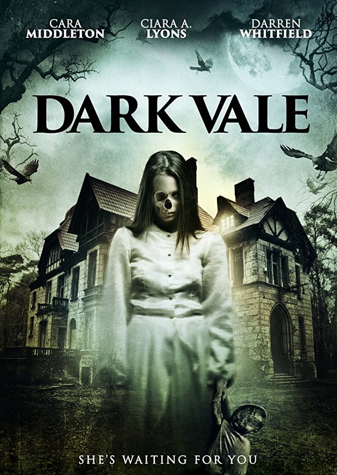 Dark Vale - Affiches