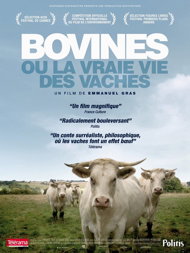Bovines - Posters