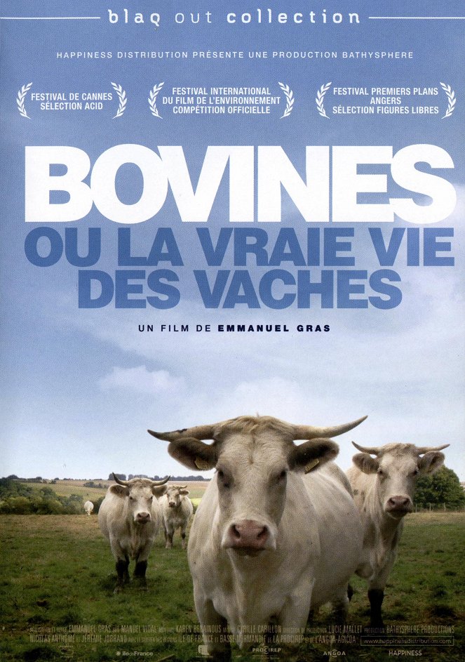 Bovines - Posters