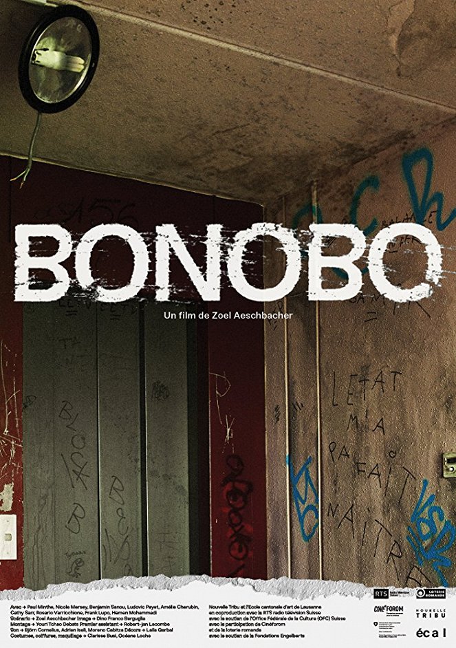 Bonobo - Affiches
