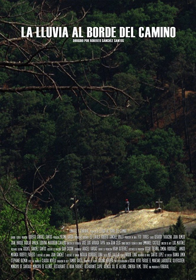 The Rain at The Edge of The Path - Posters