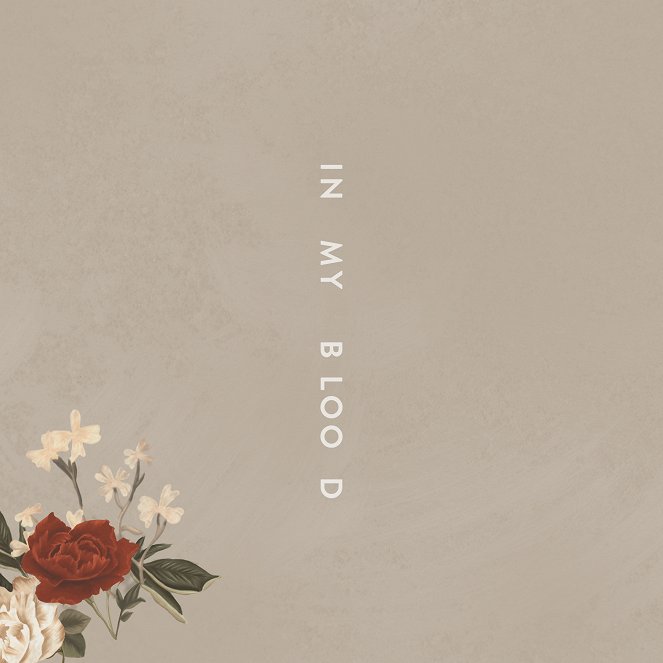 Shawn Mendes - In My Blood - Julisteet