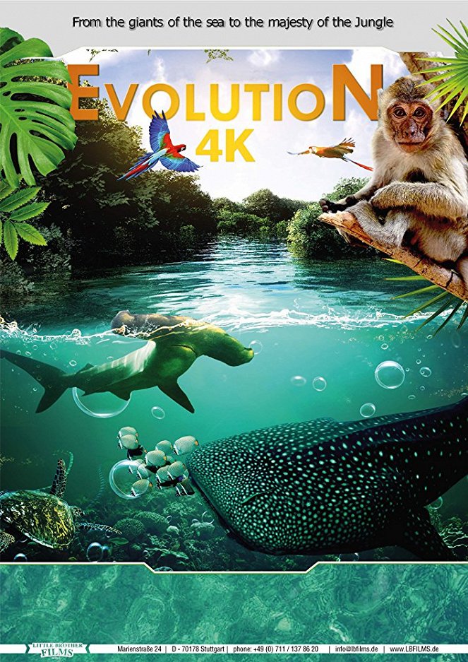 Evolution 4K - Plakáty