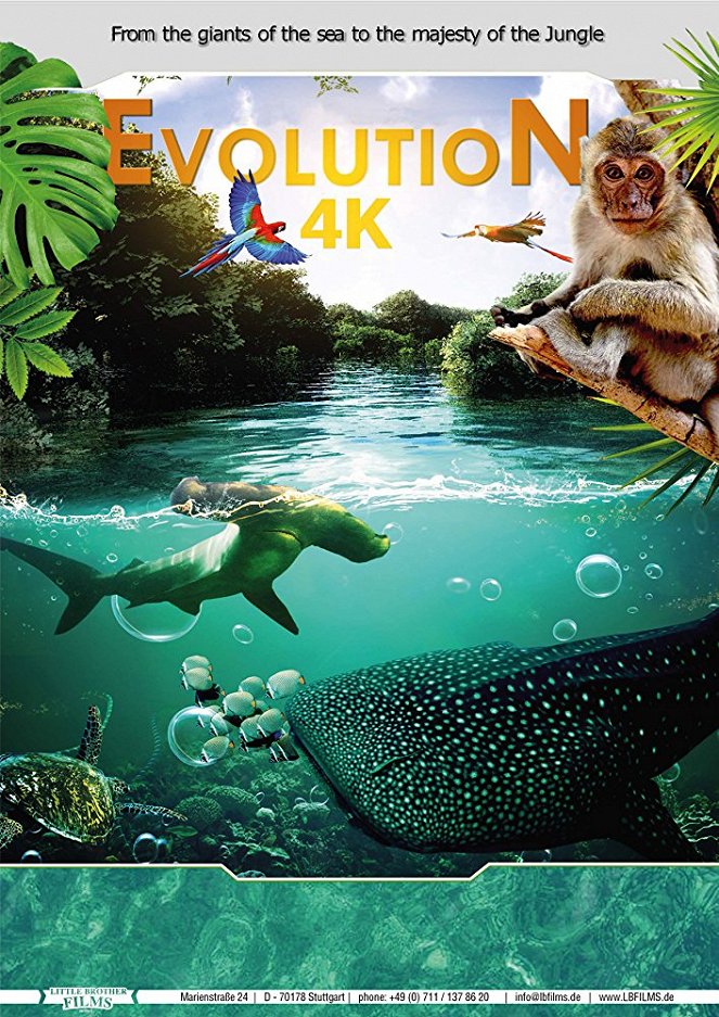 Evolution 4K - Affiches