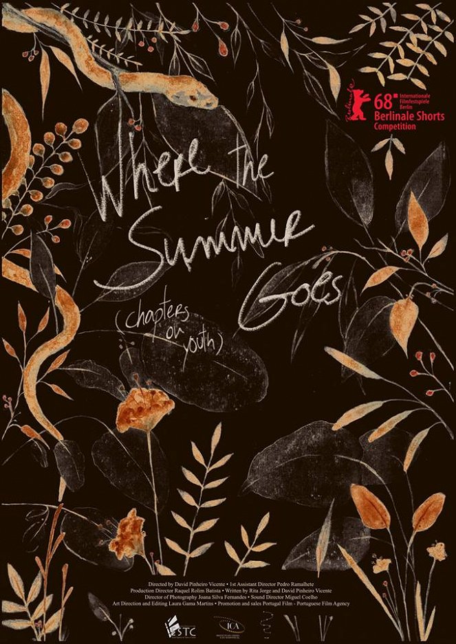 Wohin der Sommer geht (Episoden aus der Jugend) - Plakate