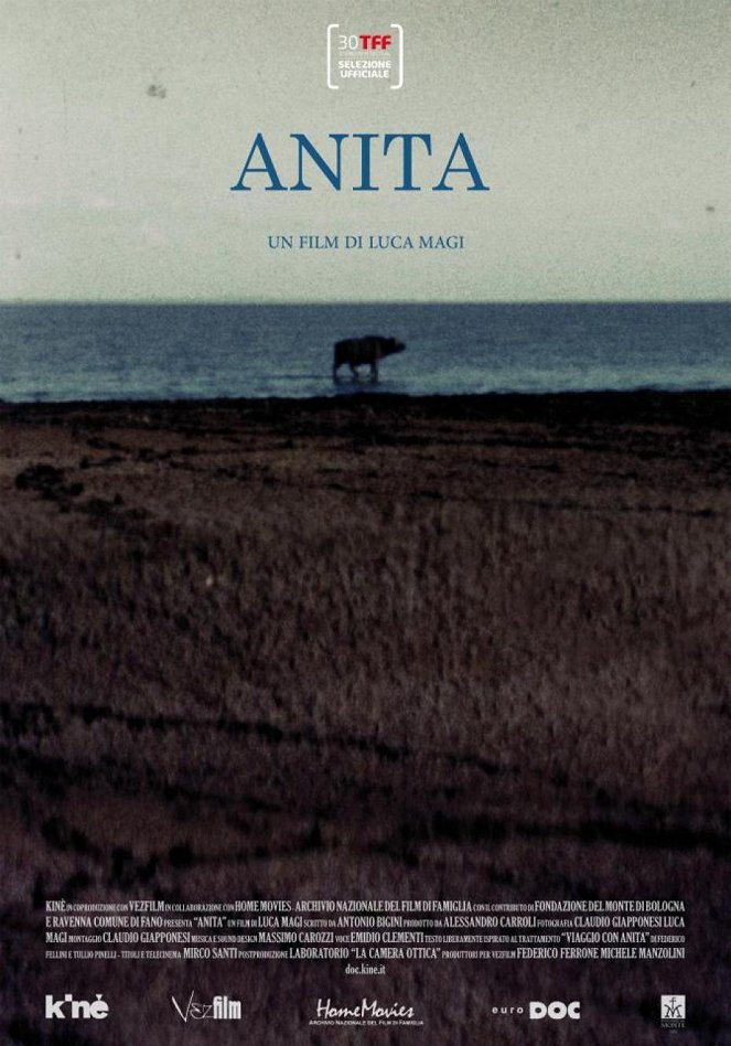 Anita - Julisteet