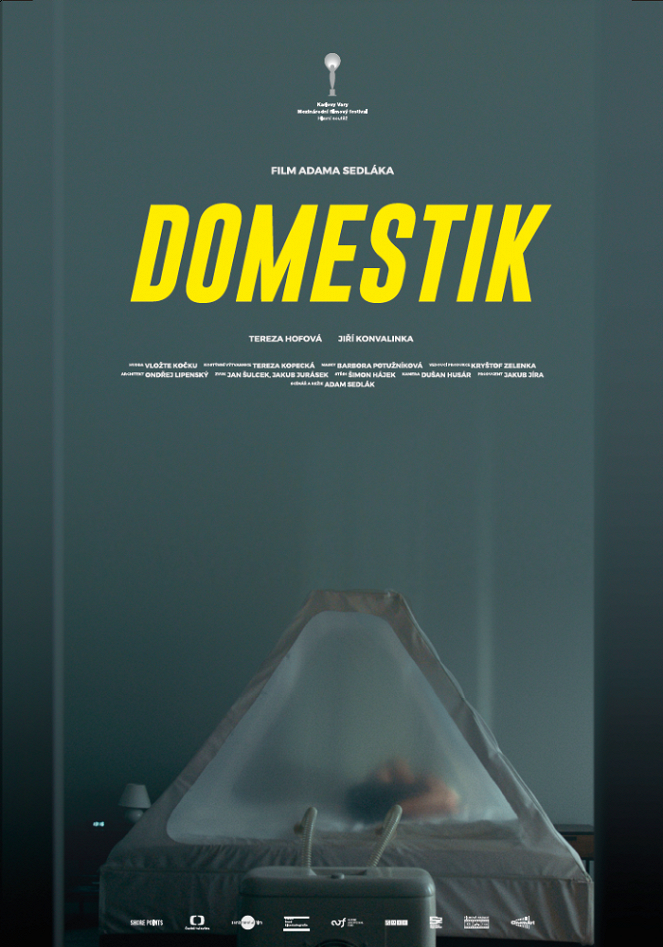 Domestique - Posters