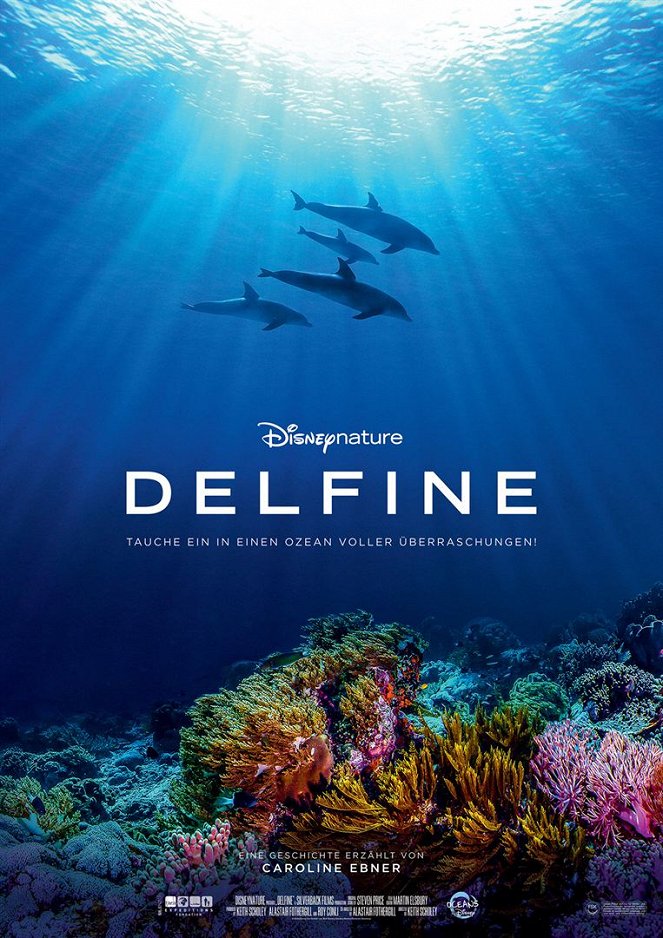 Delfine - Plakate