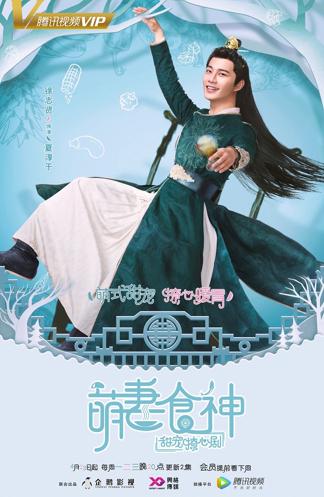 Cinderella Chef - Plakátok