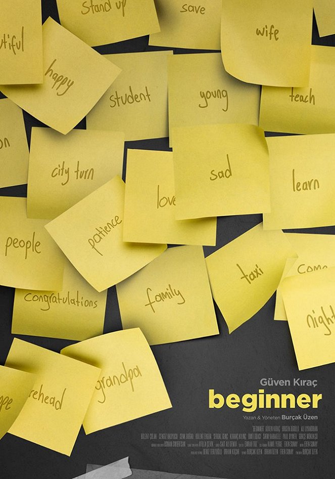 Beginner - Posters