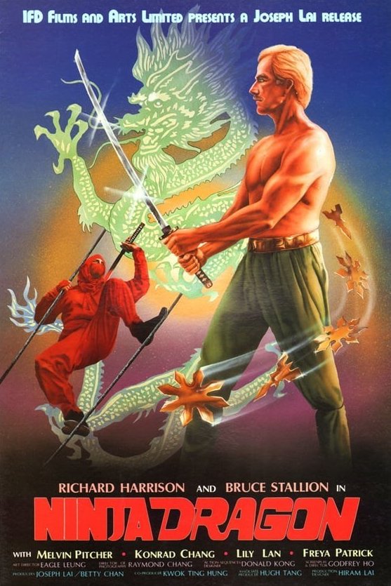 Ninja Dragon - Posters