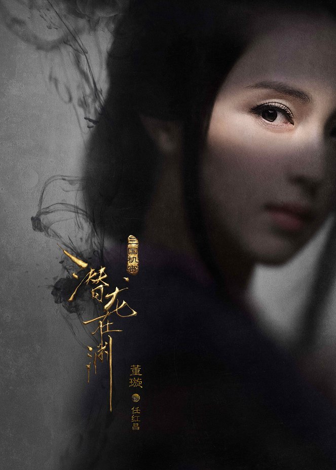 Secret of the Three Kingdoms: The Secret Dragon in the Abyss - Posters
