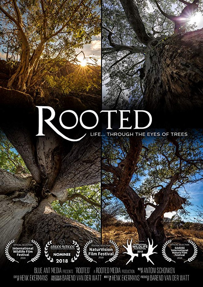 Rooted - Julisteet