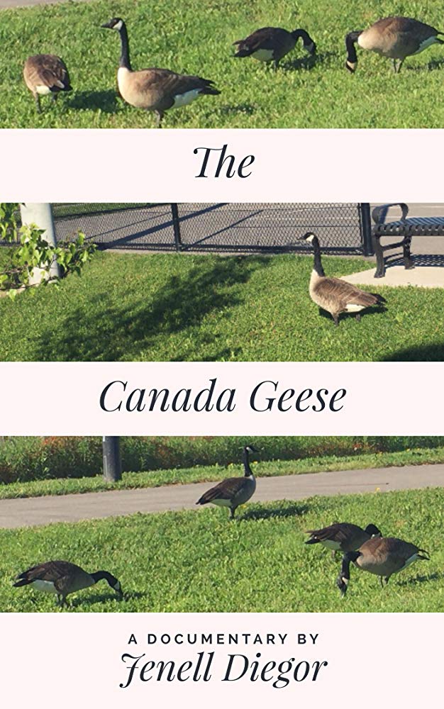 The Canada Geese - Plagáty