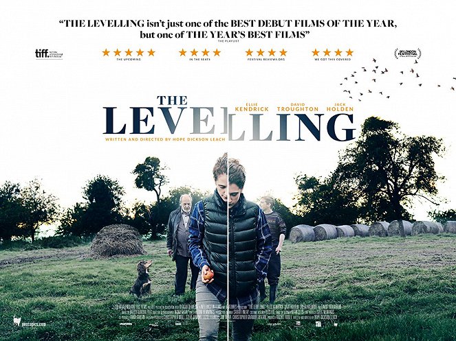 The Levelling - Cartazes