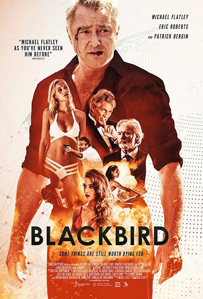 Blackbird - Carteles