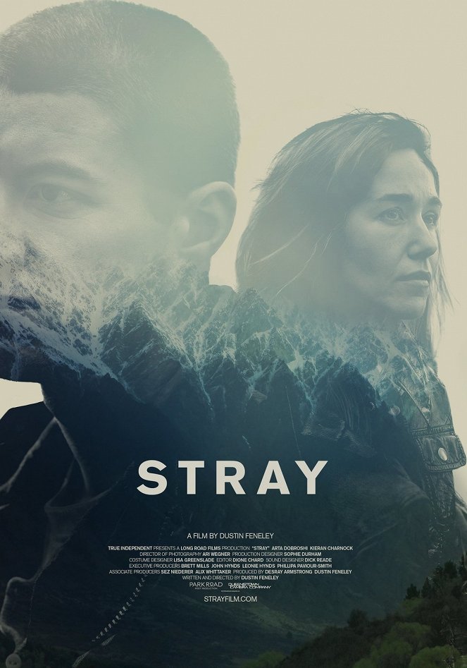 Stray - Affiches