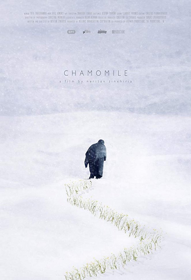 Chamomile - Posters