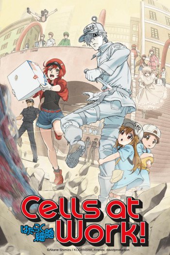 Cells at Work! - Hataraku saibó - Season 1 - Carteles