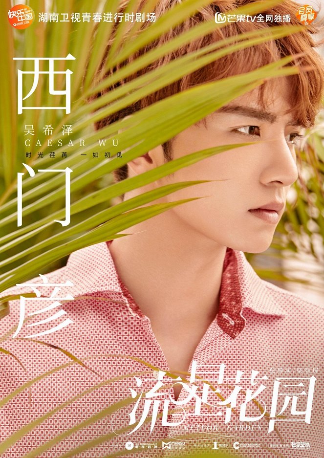 Meteor Garden - Posters