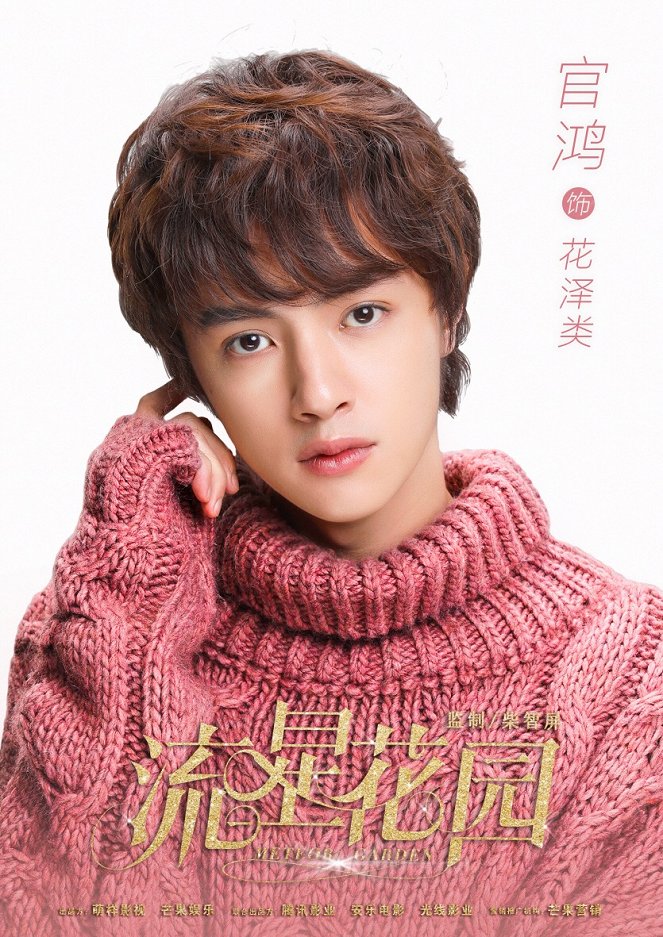 Meteor Garden - Posters