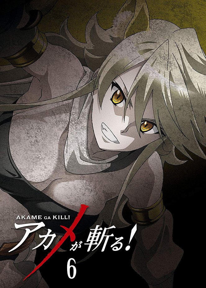 Akame ga kill! - Affiches