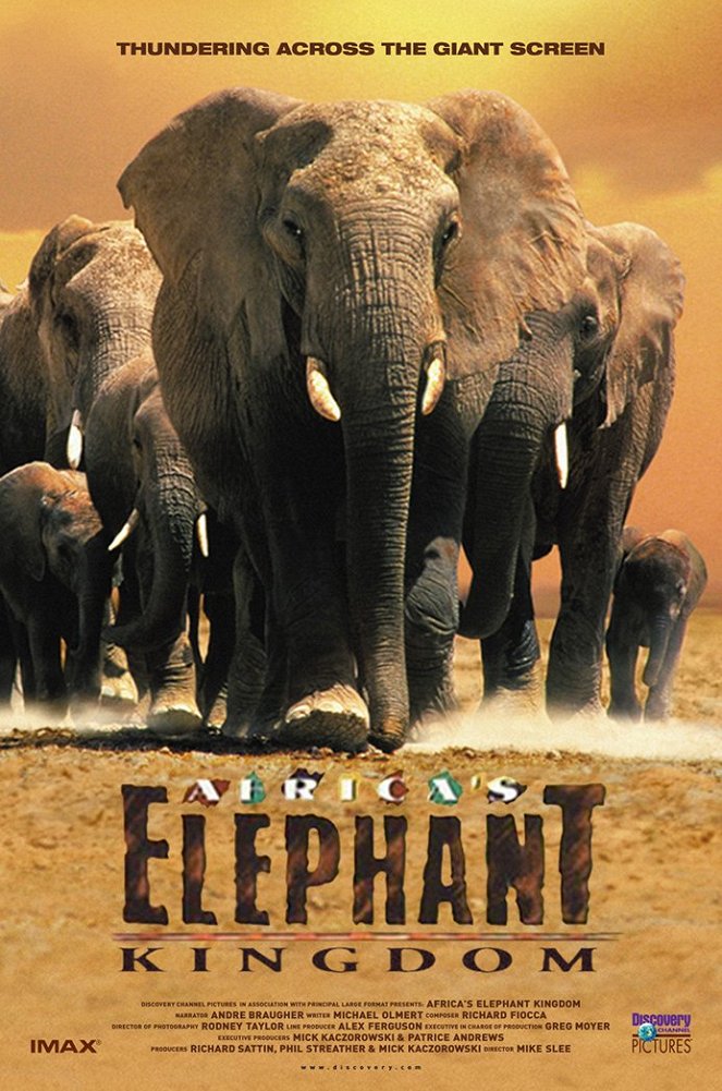 Africké sloní království - Plagáty