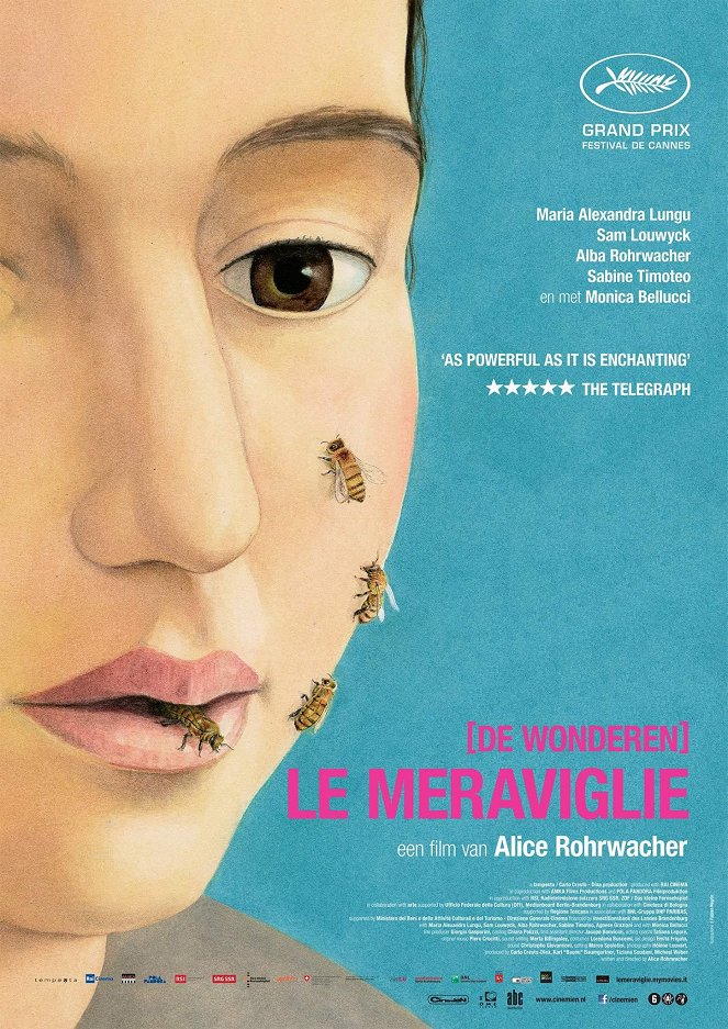 Le meraviglie - Posters