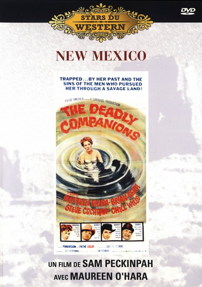 New Mexico - Affiches