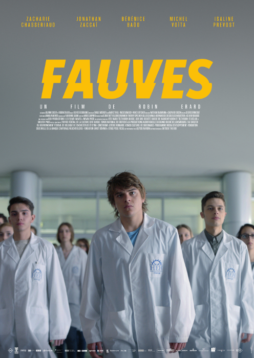 Fauves - Plakate