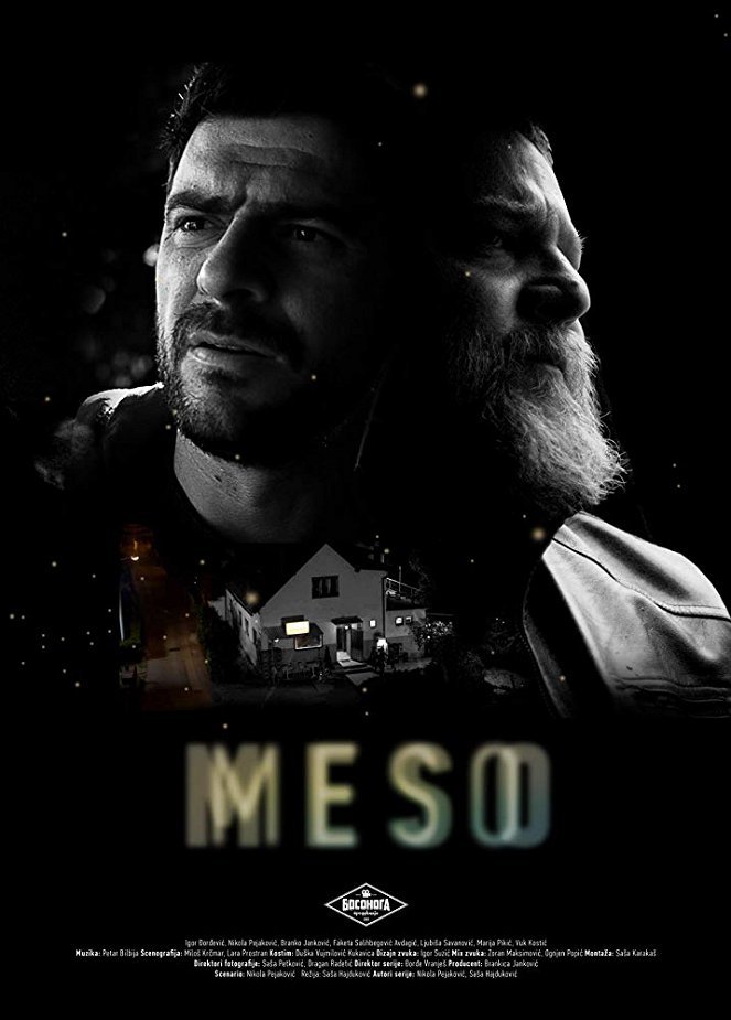 Meso - Posters