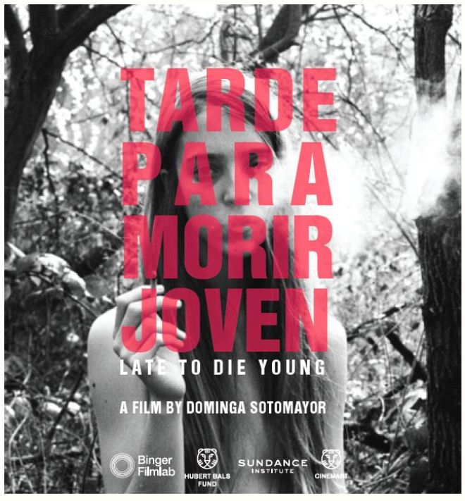 Too Late to Die Young - Posters