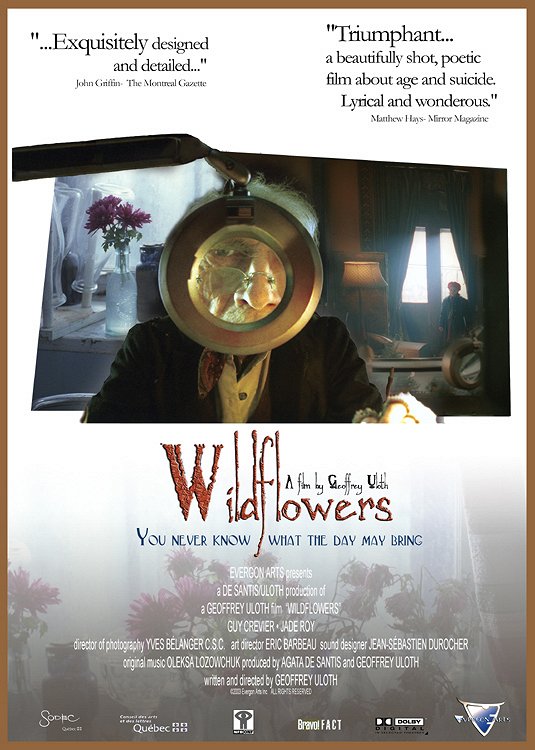 Wildflowers - Plakate