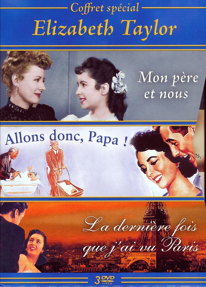 La Dernière fois que j'ai vu Paris - Affiches