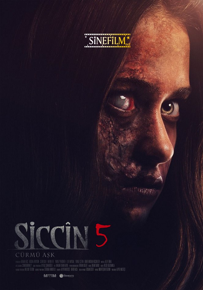 Siccin 5 - Plakaty