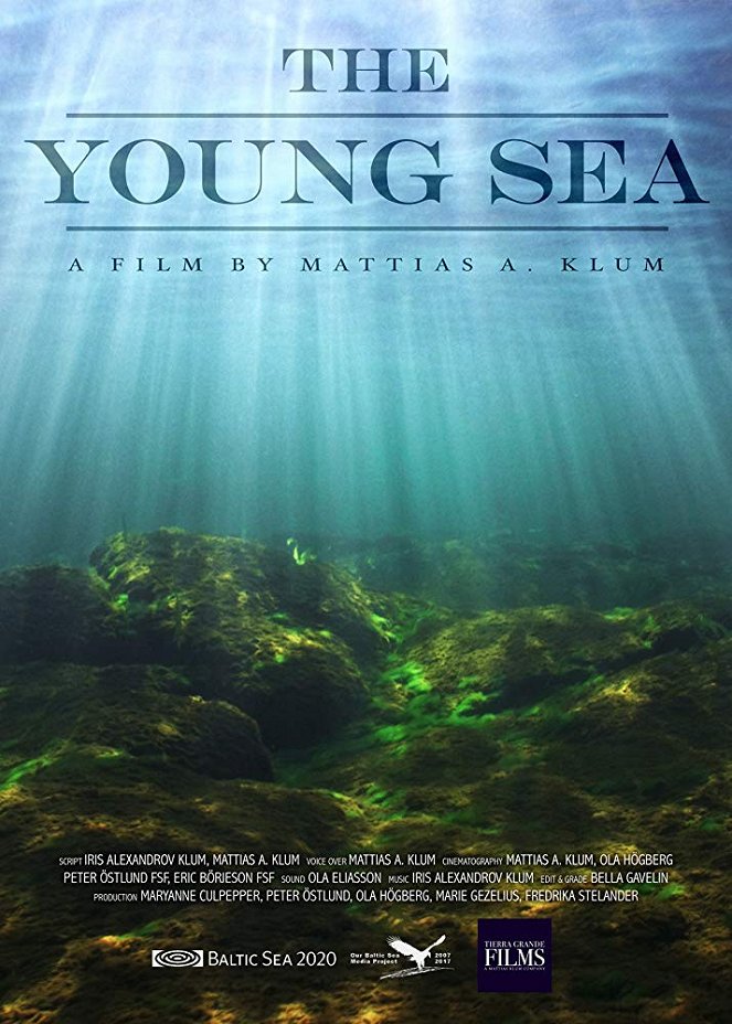 The Young Sea - Cartazes