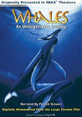 Whales: An Unforgettable Journey - Cartazes