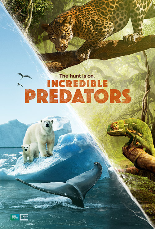 Incredible Predators 3D - Plakate