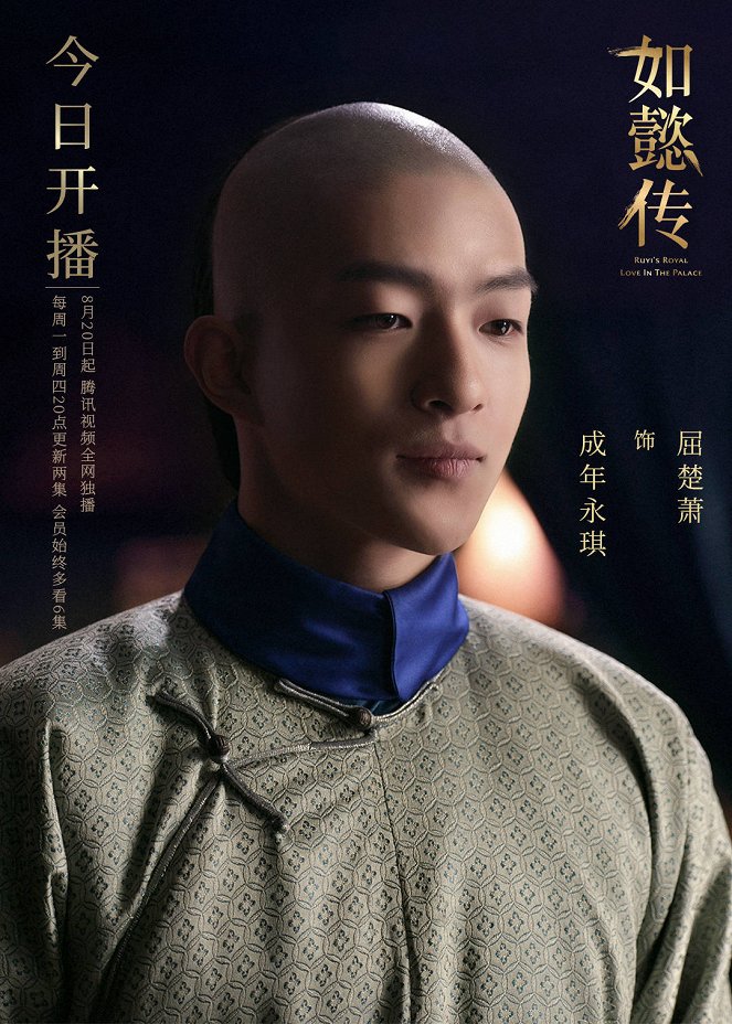 Ruyi's Royal Love in the Palace - Posters