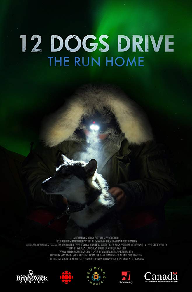 12 Dogs Drive - The Run Home - Cartazes