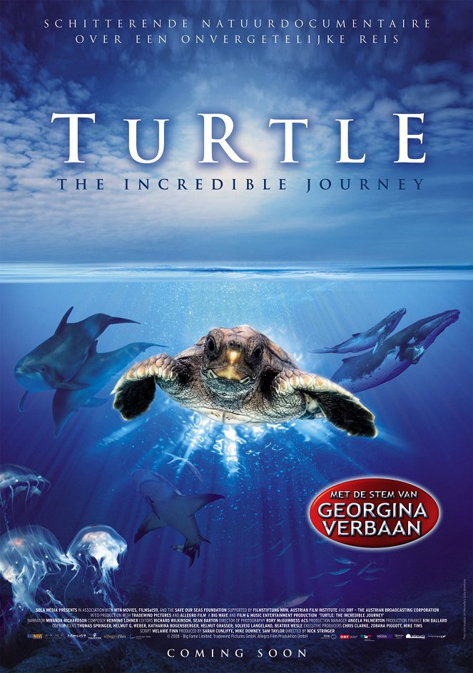 Turtle: The Incredible Journey - Posters
